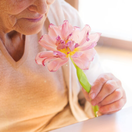 Elderly woman holding a flower