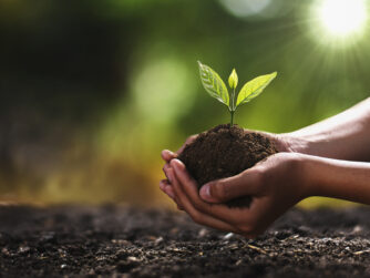 Clasped hands holding dirt with seedling.